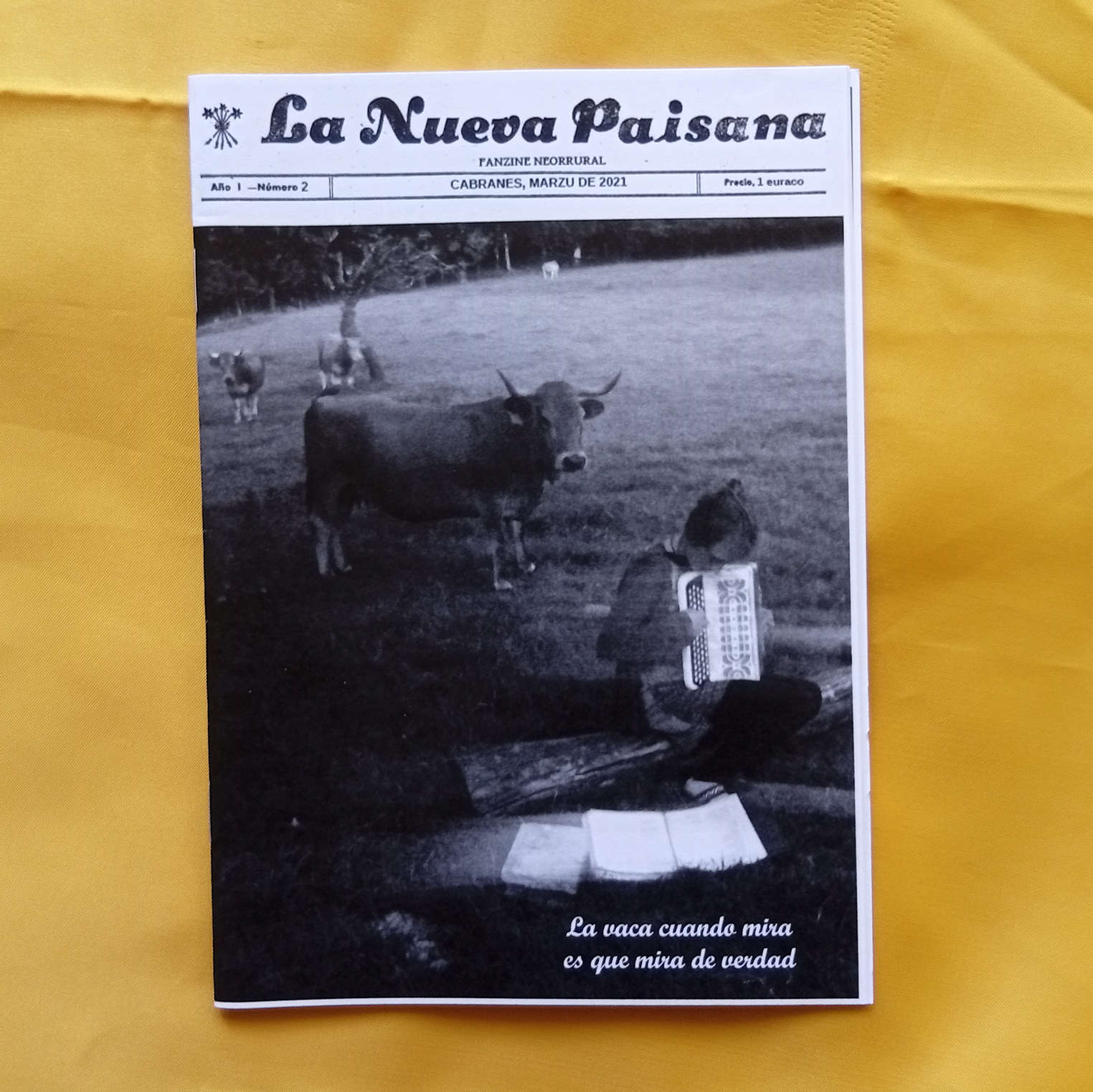 Z de Zine: La Nueva Paisana nº2