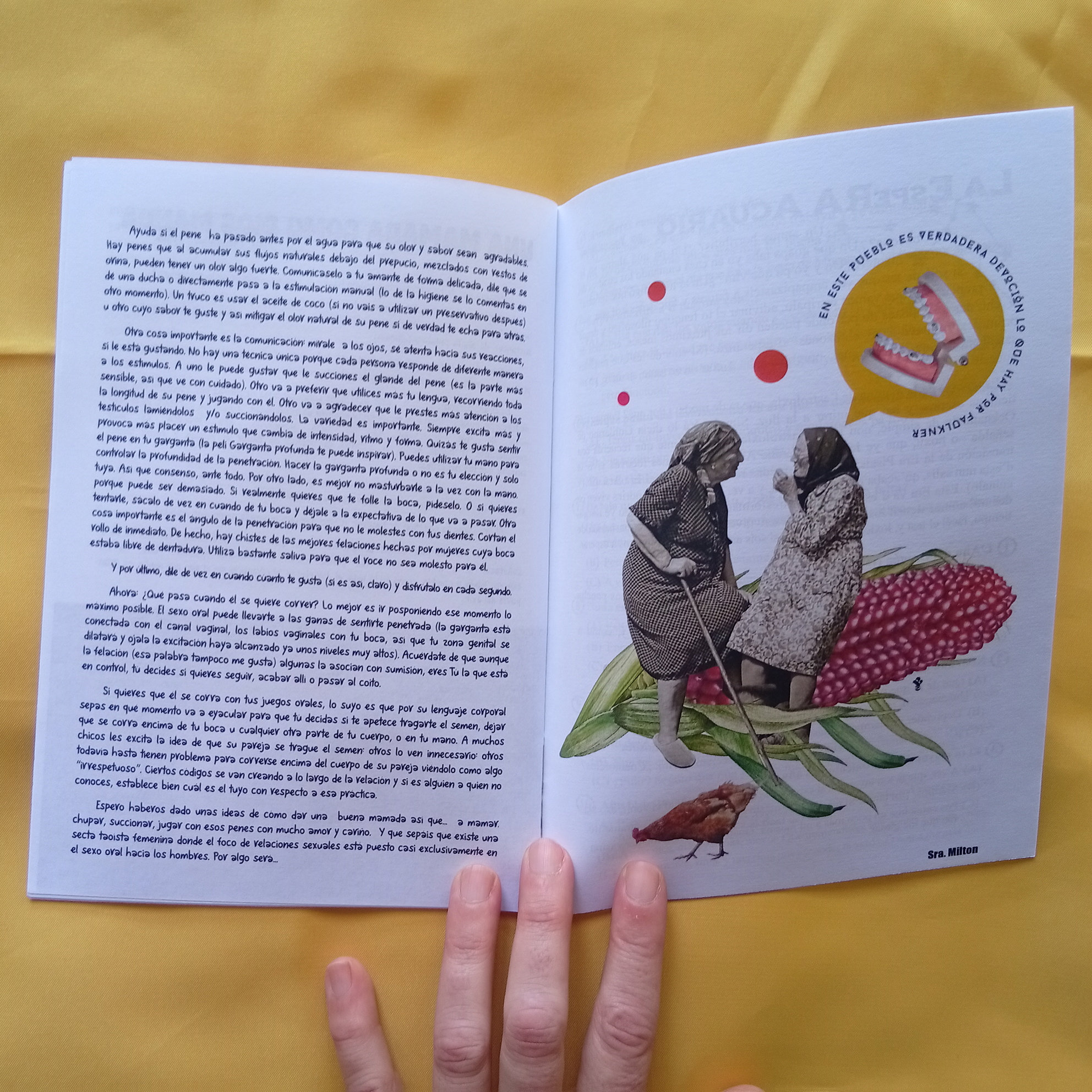 Z de Zine: La Nueva Paisana nº11 - Imagen 3