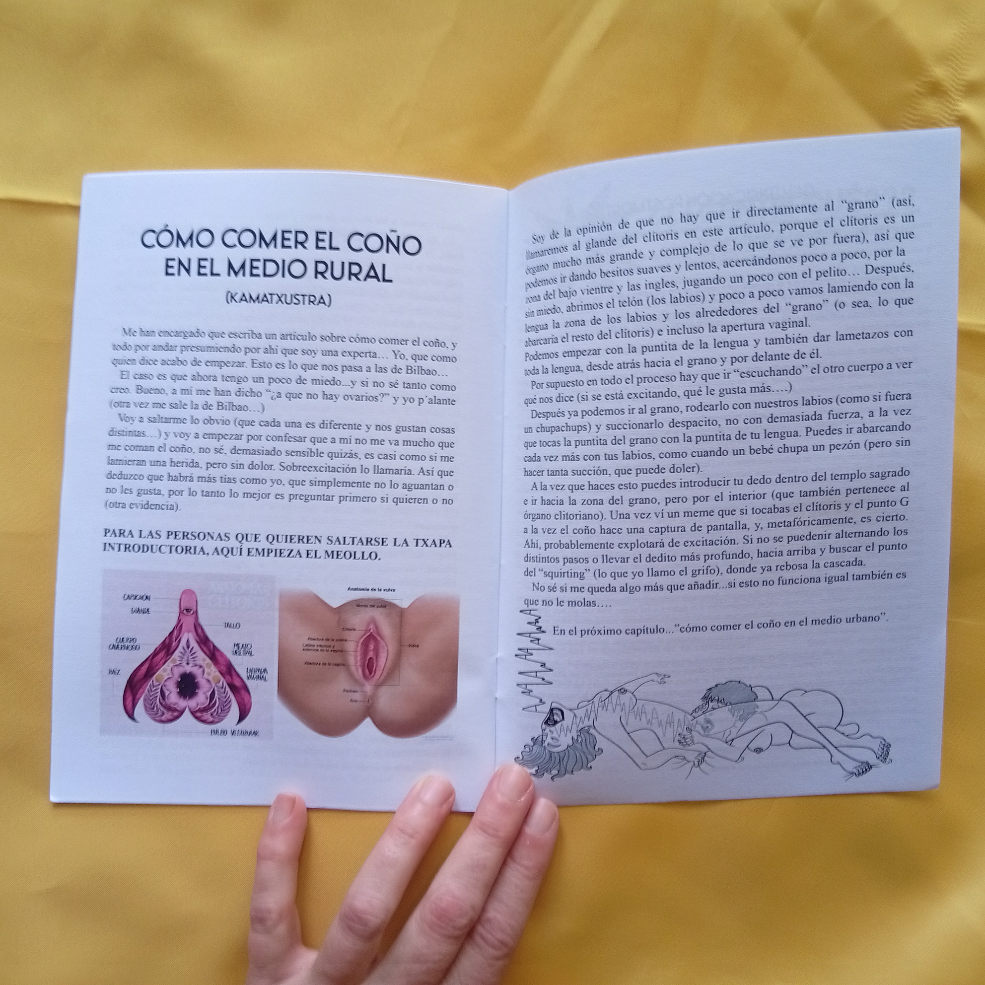 Z de Zine: La Nueva Paisana nº10 - Imagen 3