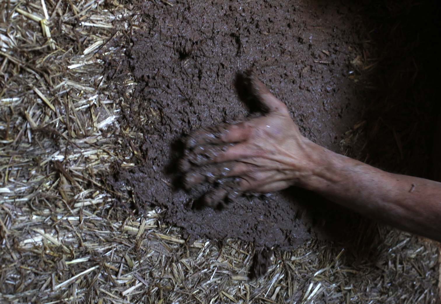 Bioconstrucción Asturias