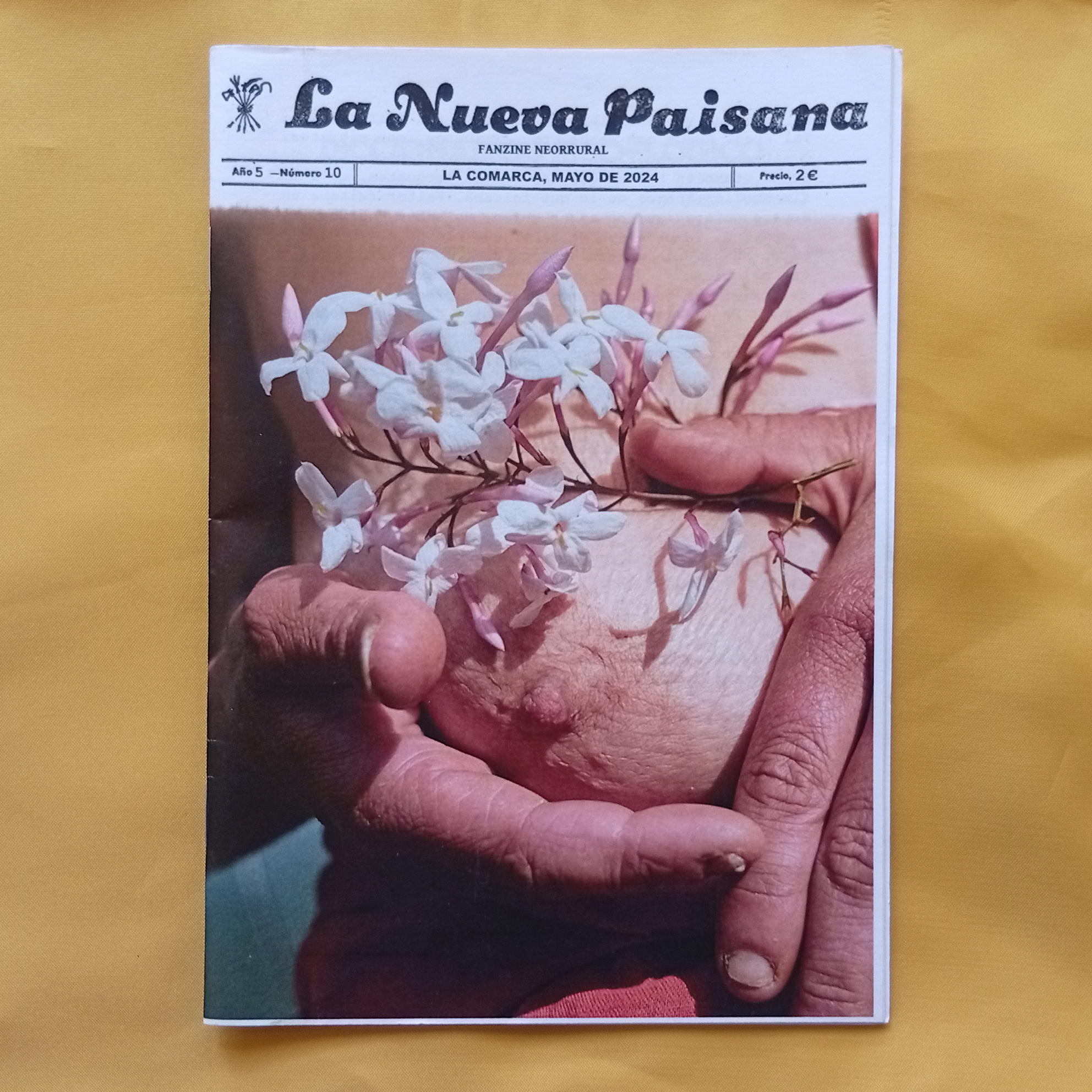 Z de Zine: La Nueva Paisana nº10
