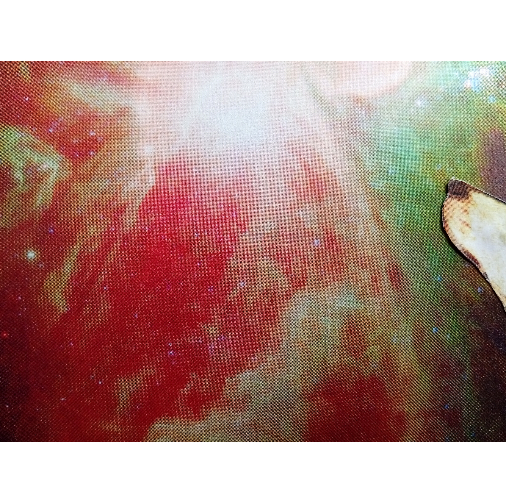 PerraGamba y el mensaje de las estrellas - Imagen 5