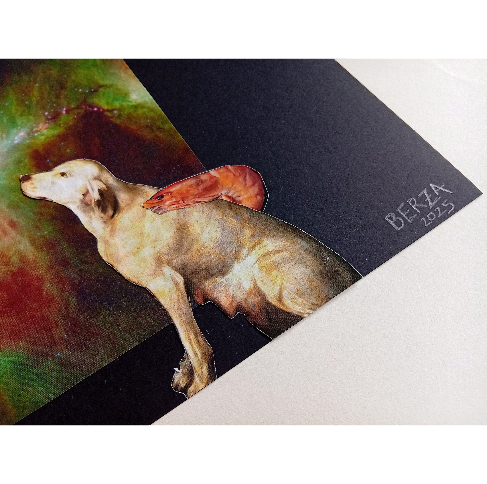 PerraGamba y el mensaje de las estrellas - Imagen 6