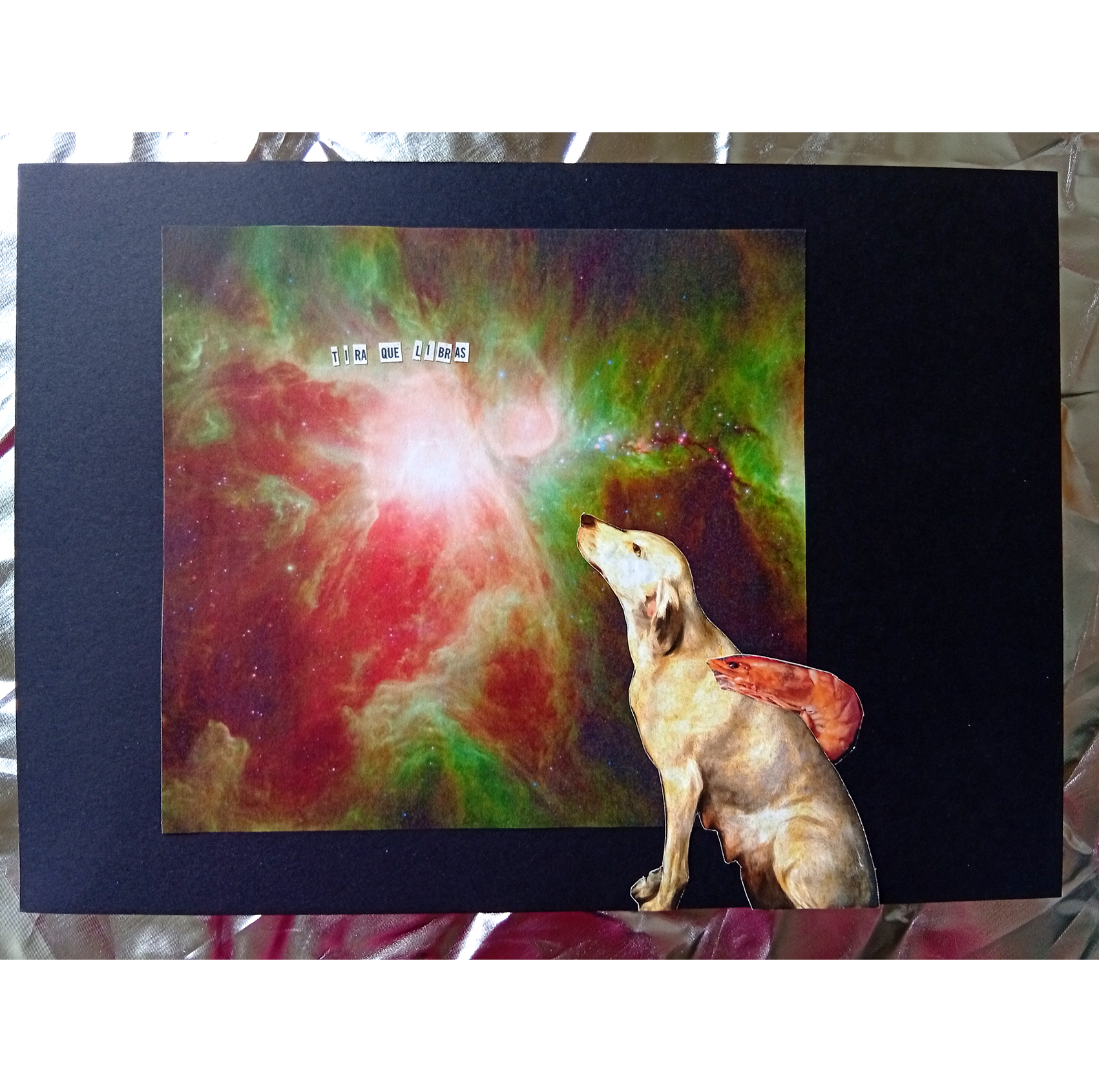 PerraGamba y el mensaje de las estrellas - Imagen 2