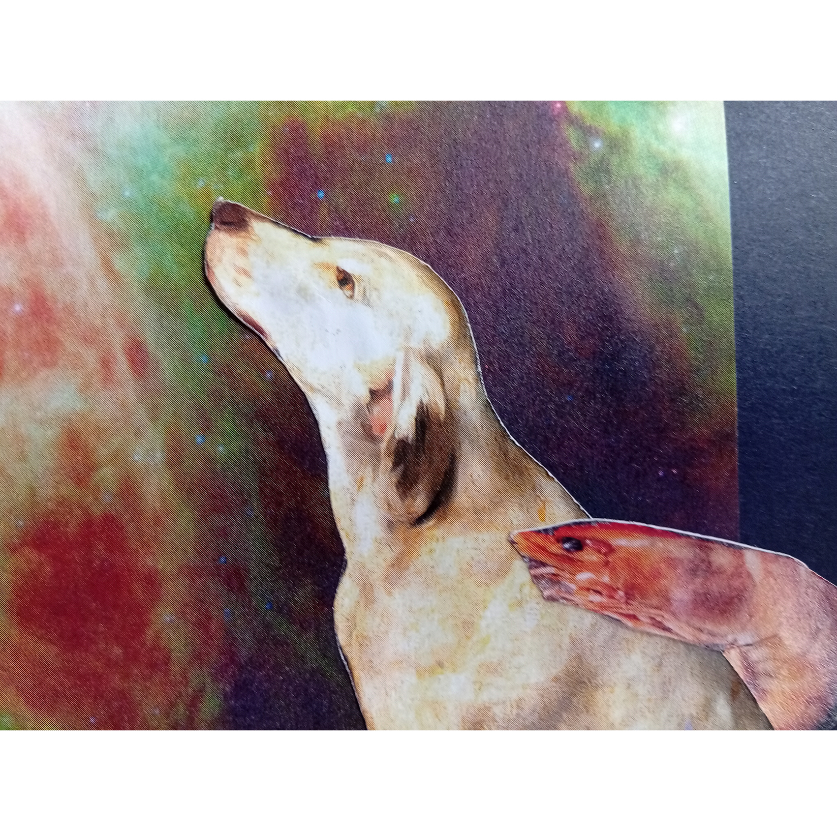 PerraGamba y el mensaje de las estrellas - Imagen 4