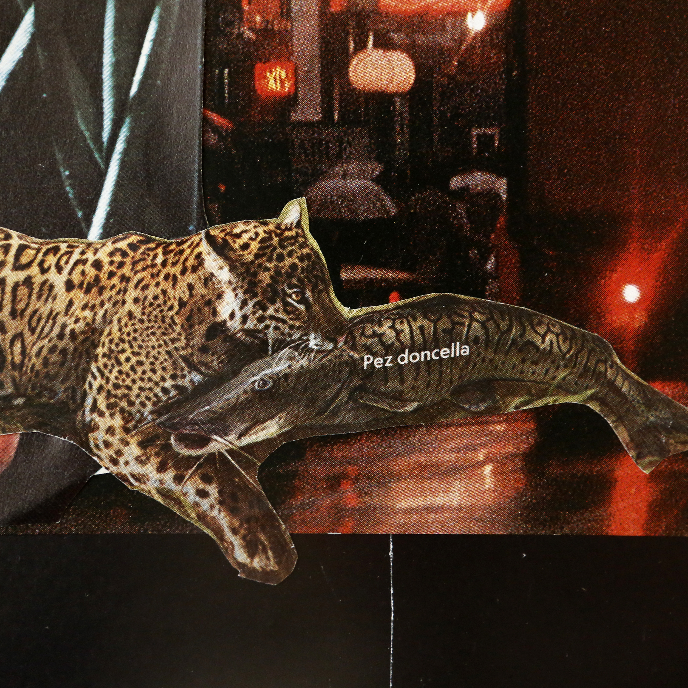 No duerme nadie - Imagen 6